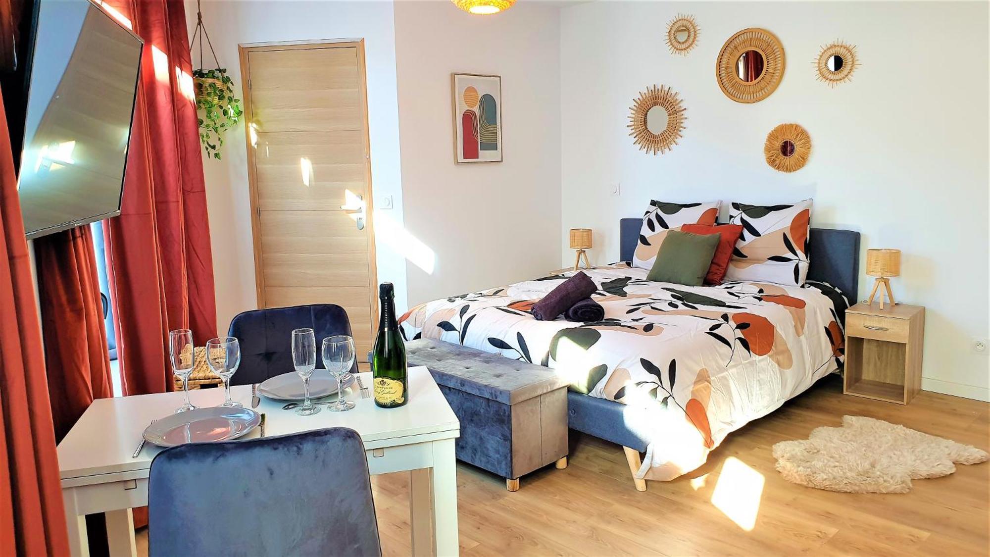 Apartment Petit Cocon Lumineux - Clim - Gare - Velo